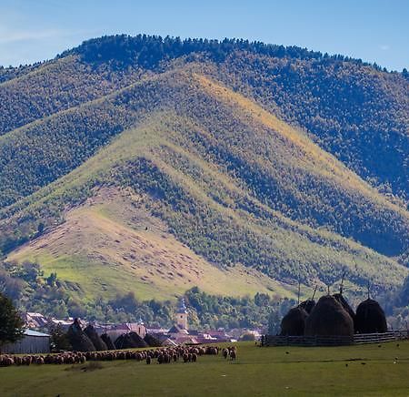 Picturesque Village In Transylvania Răşinari 객실 사진