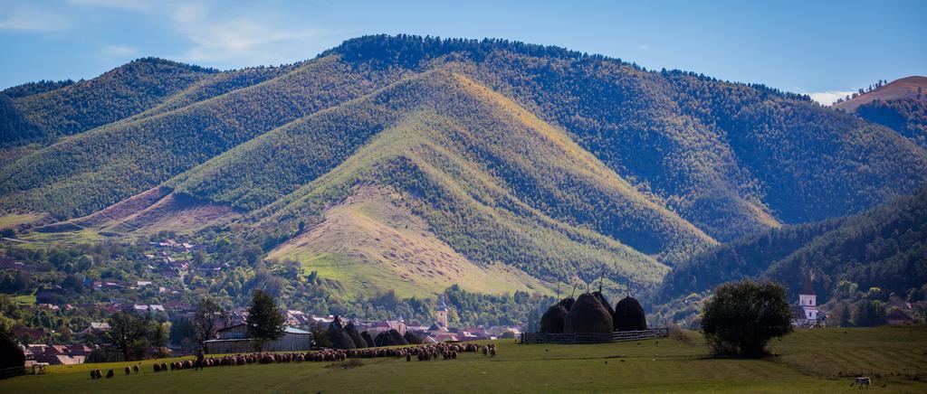 Picturesque Village In Transylvania Răşinari 객실 사진