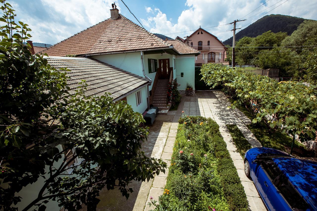 Picturesque Village In Transylvania Răşinari 외부 사진